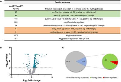 The Proteome of Equine Oviductal Fluid Varies Before and After Ovulation: A Comparative Study